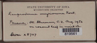 Image Associated With the Occurence